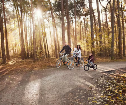 Gazelle Bikes